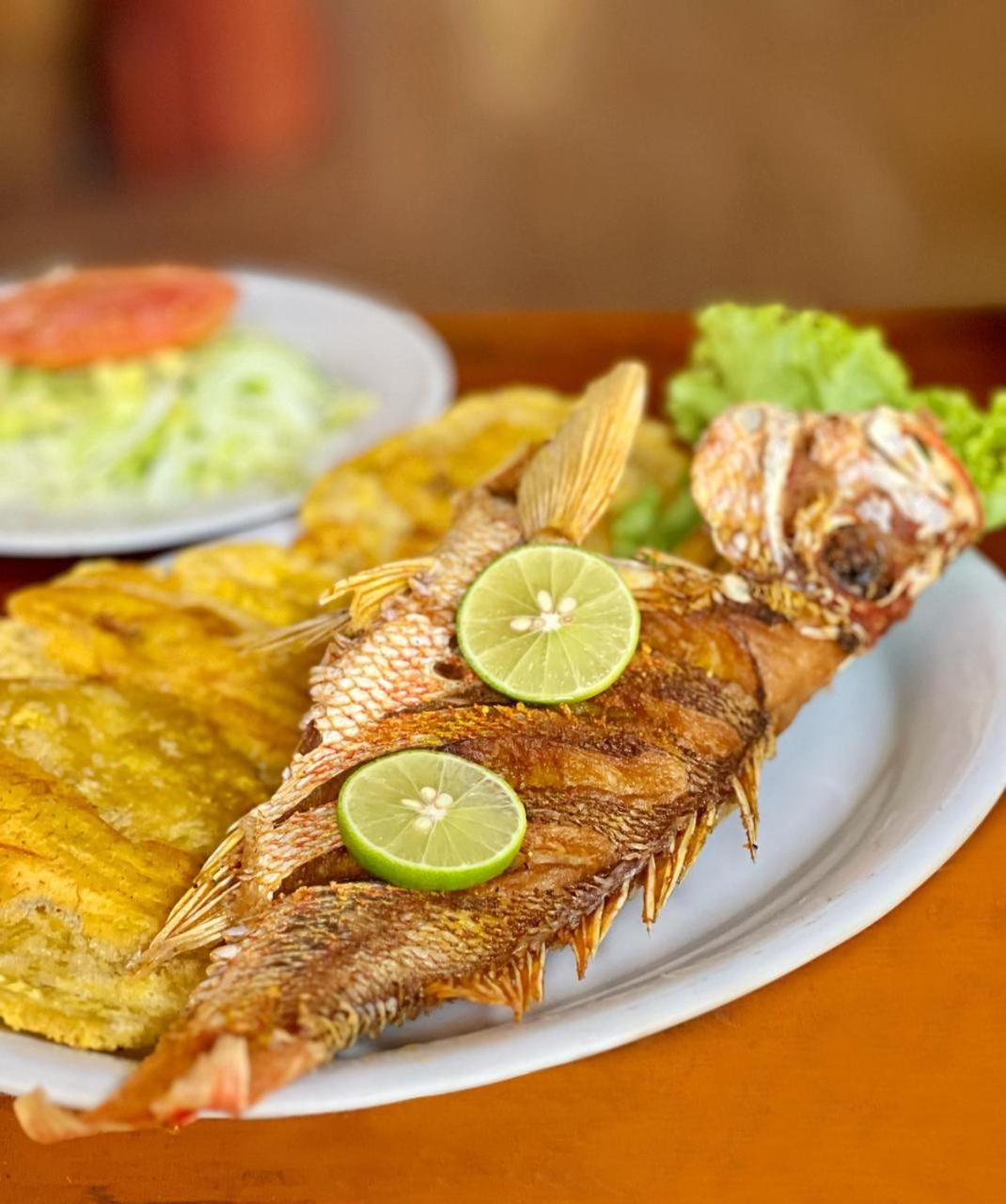 Arca Tayrona Restaurant & Hostal Los Naranjos Ngoại thất bức ảnh