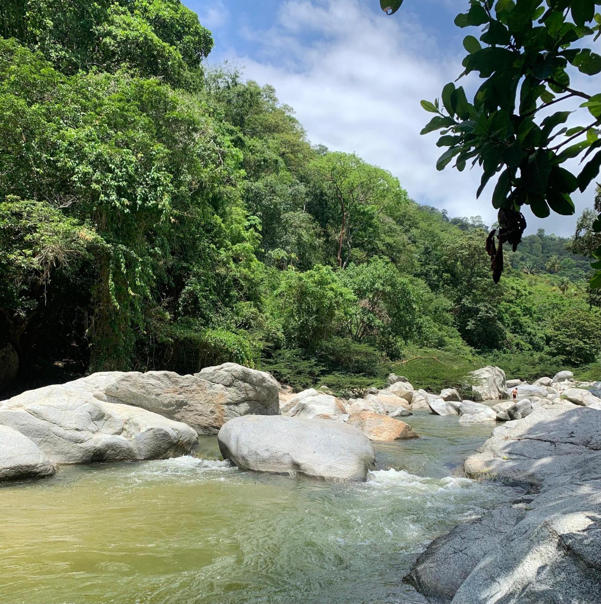 Arca Tayrona Restaurant & Hostal Los Naranjos Ngoại thất bức ảnh
